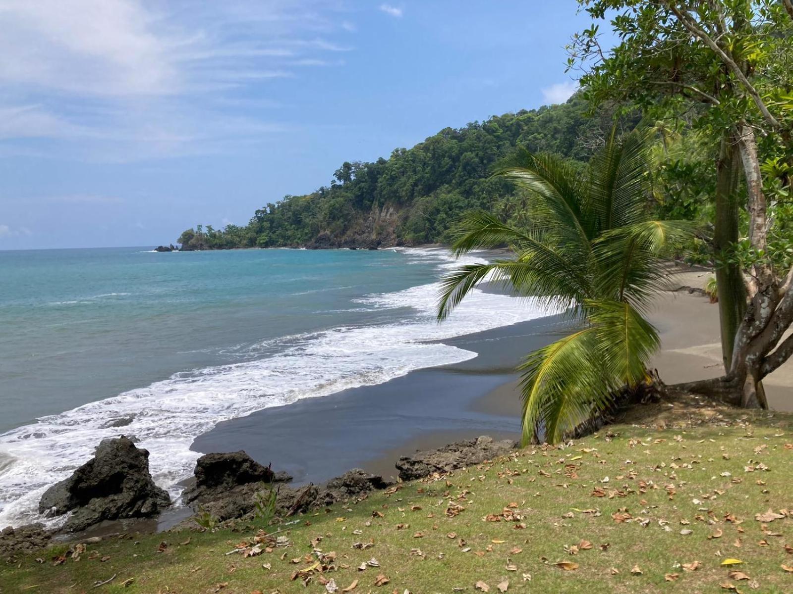 Corcovado&Drake Inn Drake Bay Exterior foto
