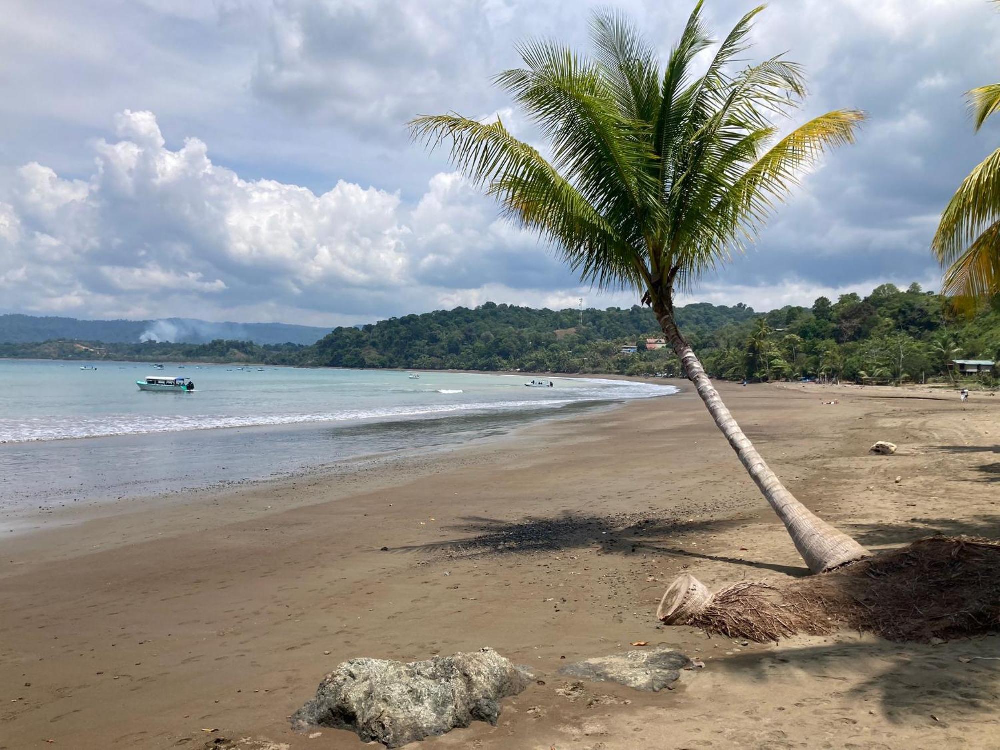 Corcovado&Drake Inn Drake Bay Exterior foto